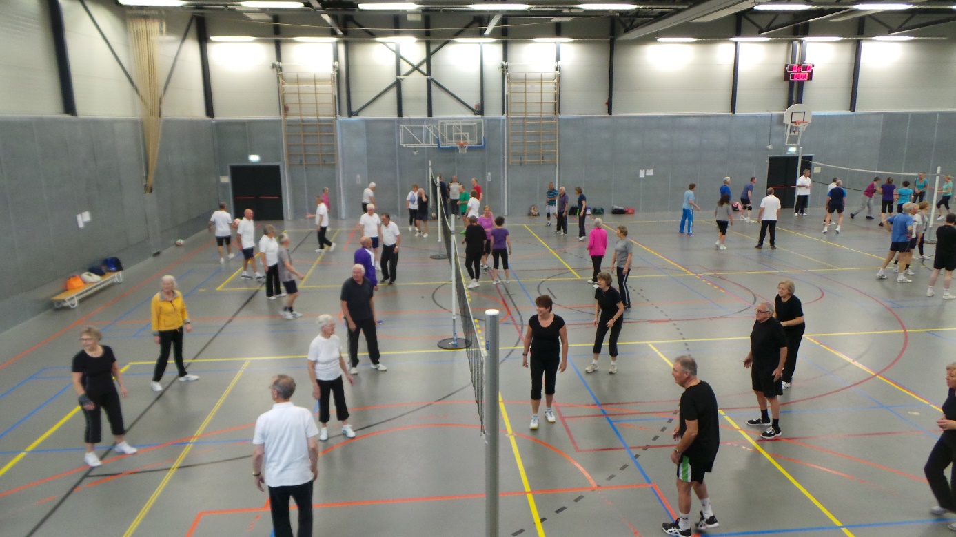 volleybollen