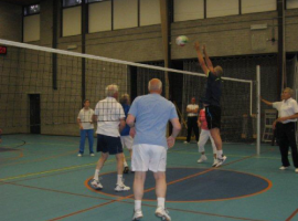 Volleybal